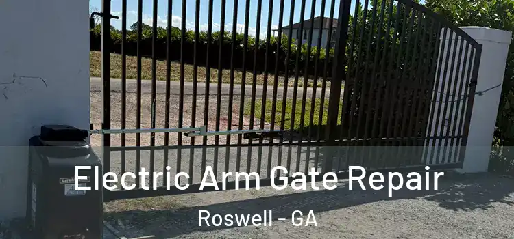 Electric Arm Gate Repair Roswell - GA