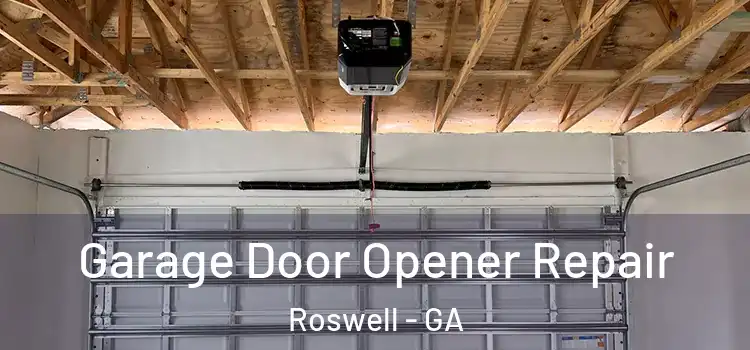  Garage Door Opener Repair Roswell - GA
