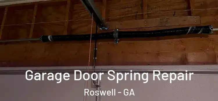  Garage Door Spring Repair Roswell - GA