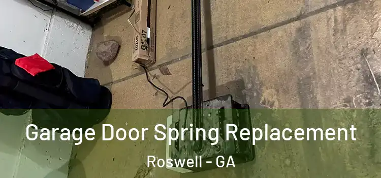  Garage Door Spring Replacement Roswell - GA