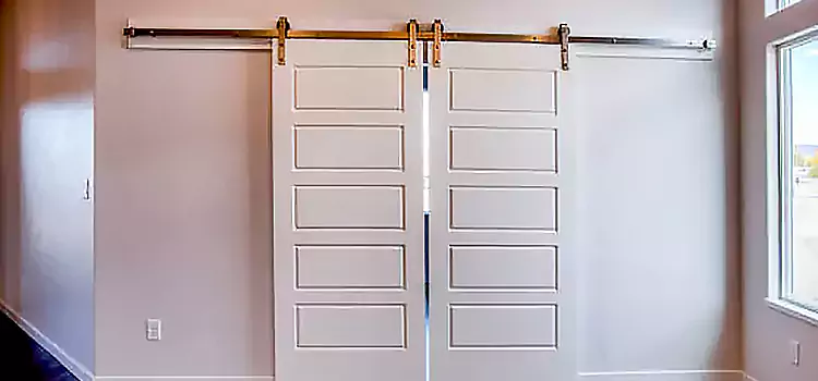 Glass Barn Door with Installation Hardware Kit Roswell