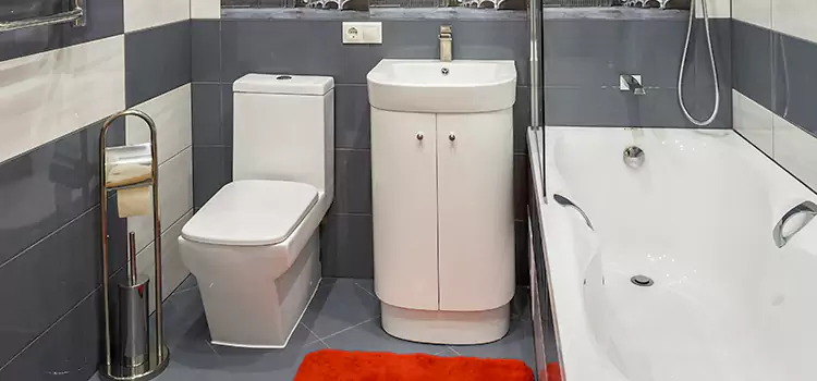 Hansgrohe Shaving Mirror Roswell