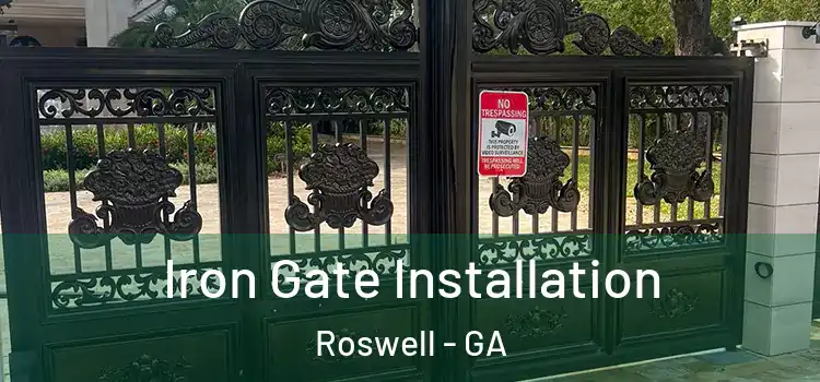 Iron Gate Installation Roswell - GA