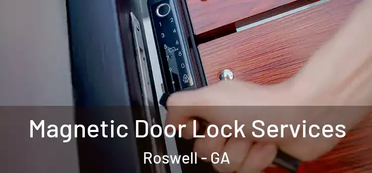Magnetic Door Lock Services Roswell - GA