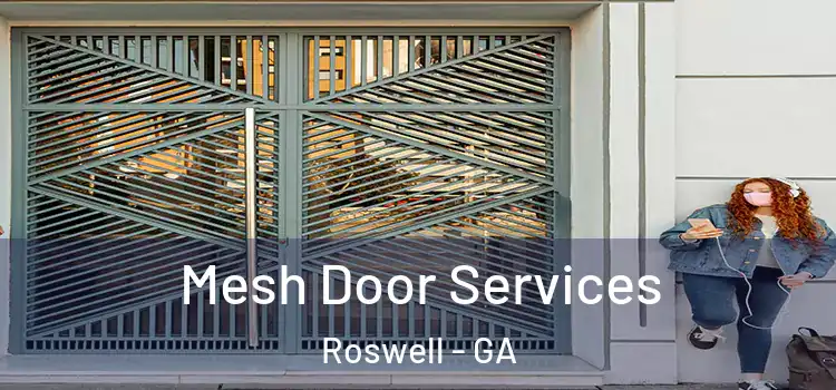 Mesh Door Services Roswell - GA