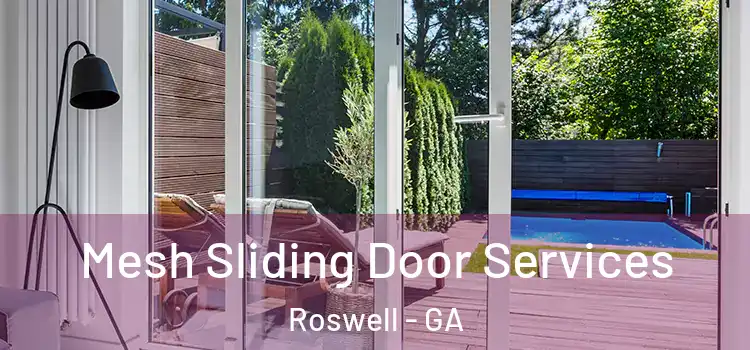 Mesh Sliding Door Services Roswell - GA